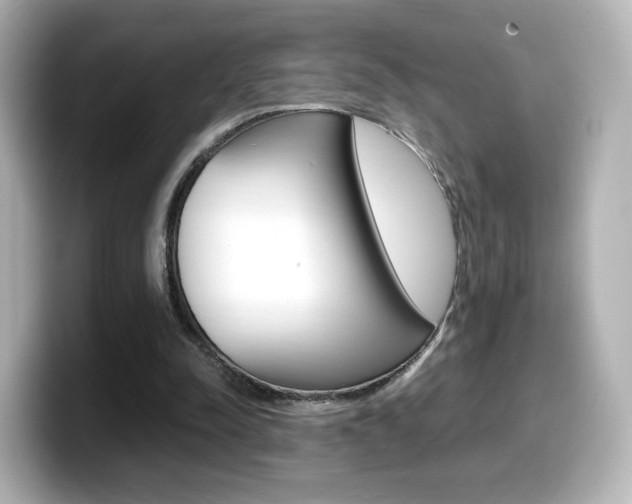 X0000099400342200805081246