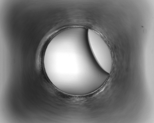 X0000099400343200805081246