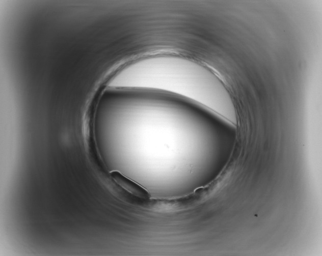 X0000099400350200805081246