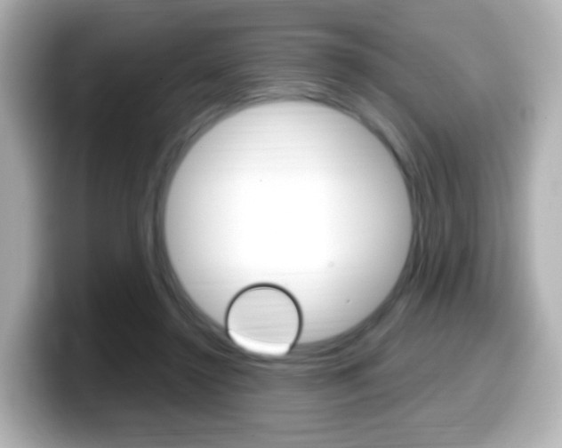X0000099400356200805081246