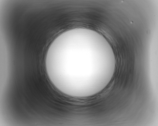 X0000099400359200805081246