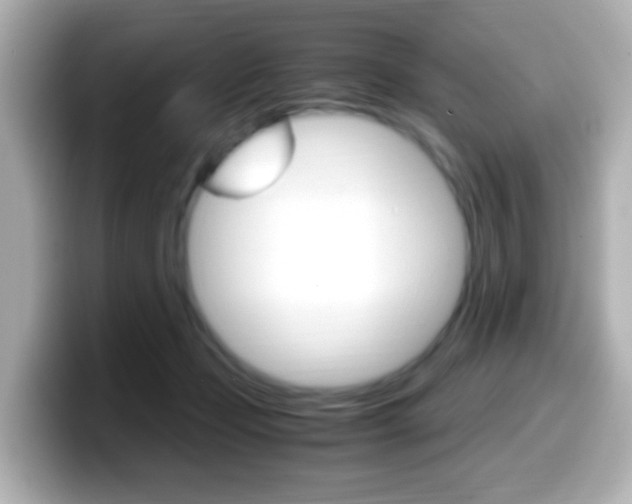 X0000099400365200805081246