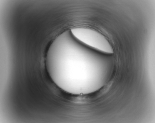X0000099400366200805081246
