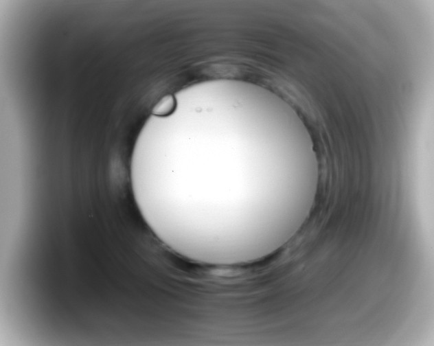X0000099400371200805081246