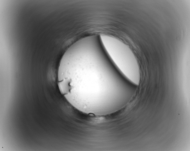 X0000099400374200805081246