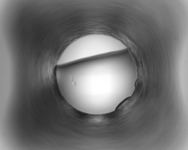X0000099400377200805081246