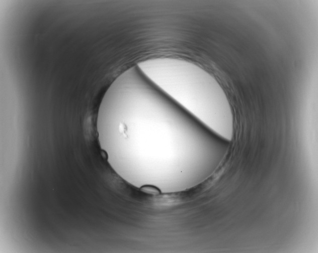 X0000099400378200805081246