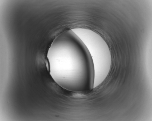 X0000099400380200805081246