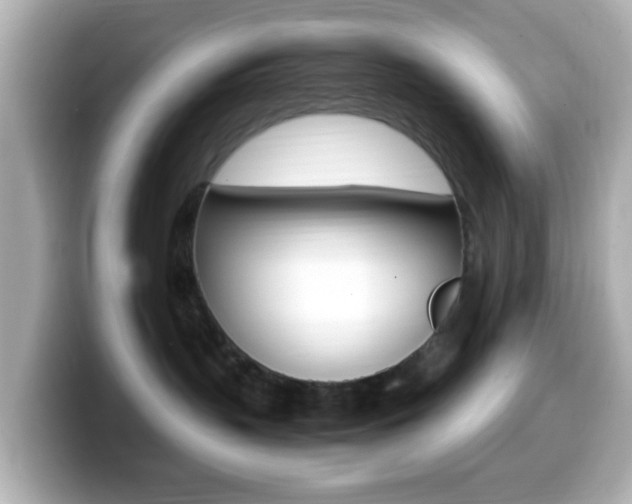X0000099400383200805081246
