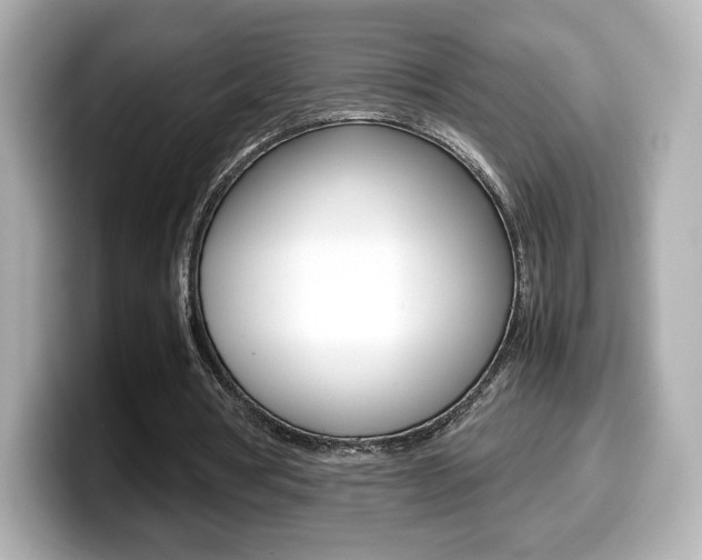 X0000099400386200805081246