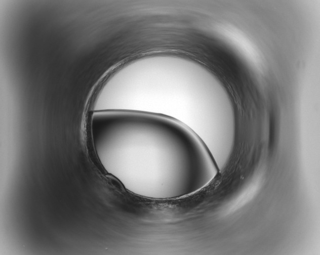 X0000099400387200805081246