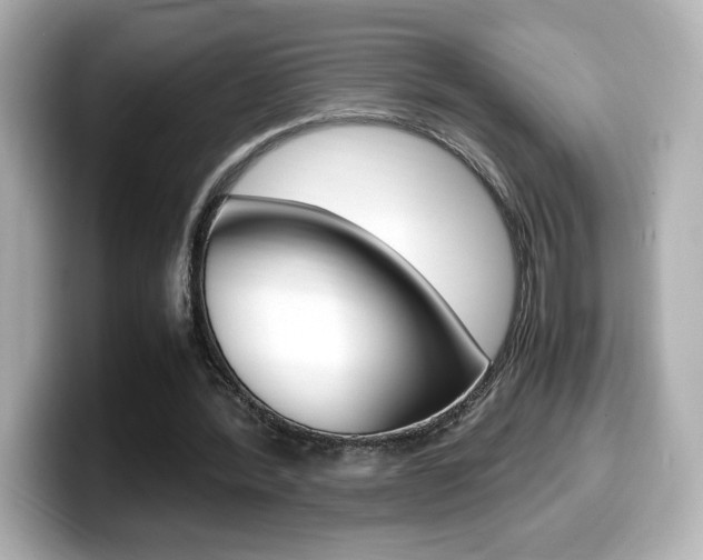 X0000099400388200805081246