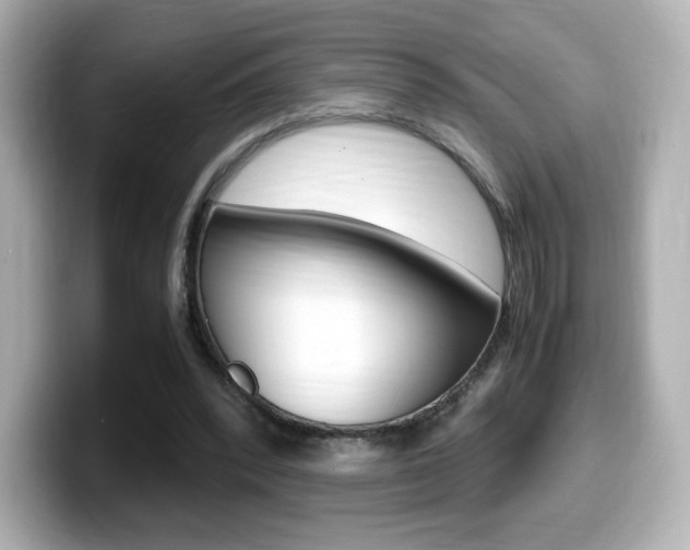 X0000099400392200805081246