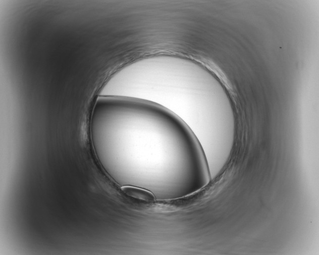X0000099400393200805081246