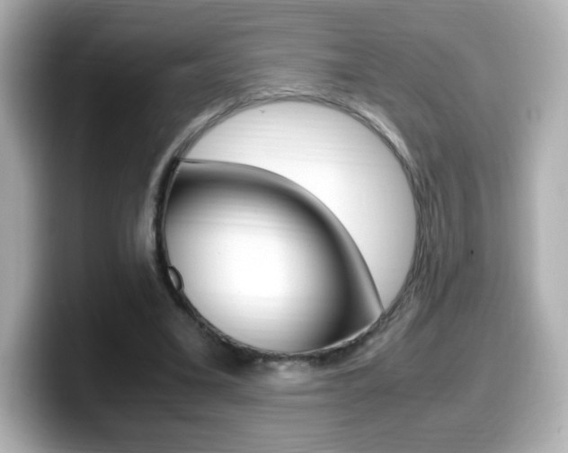 X0000099400395200805081245