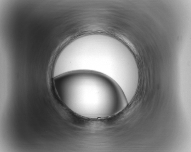 X0000099400399200805081245