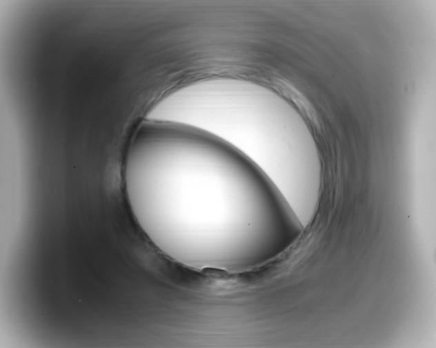 X0000099400401200805081245