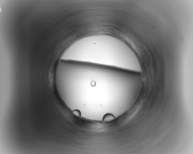 X0000099400402200805081245