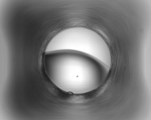 X0000099400403200805081245
