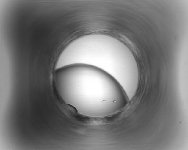 X0000099400405200805081245