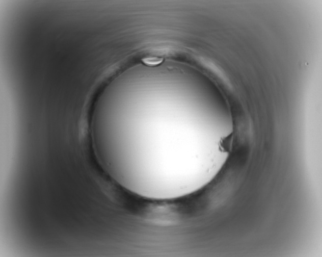 X0000099400407200805081245