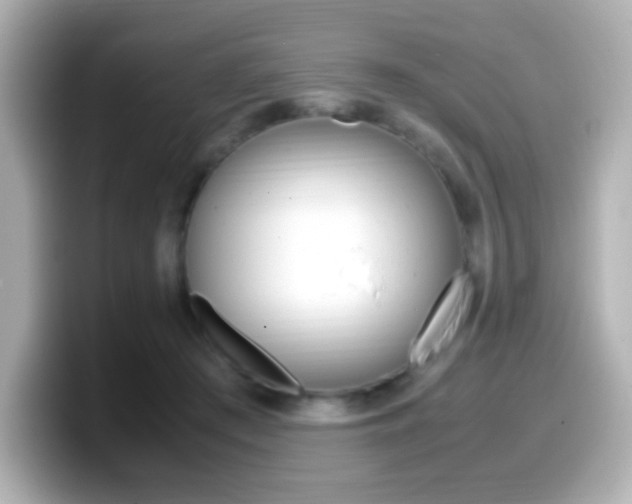 X0000099400409200805081245