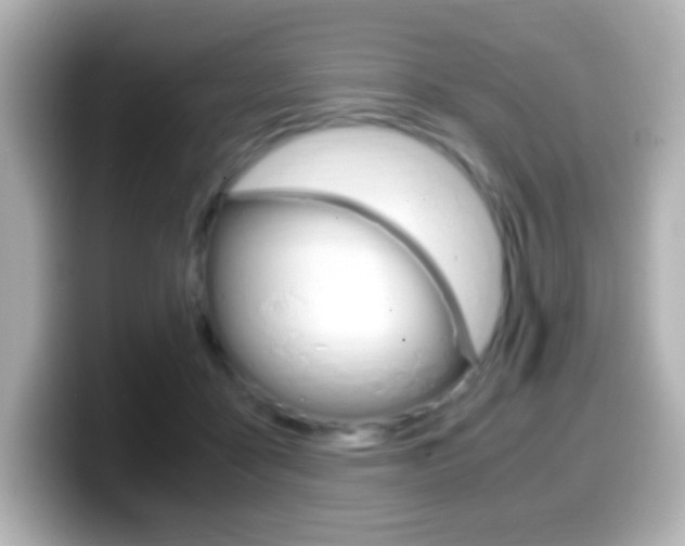 X0000099400411200805081245