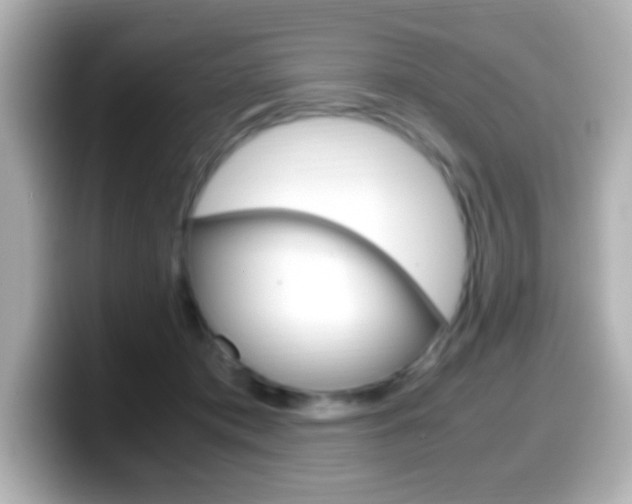 X0000099400413200805081245