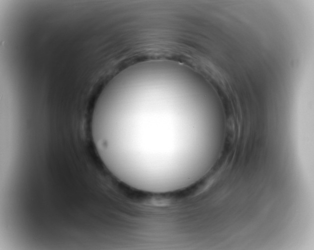 X0000099400416200805081245