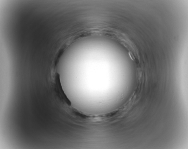 X0000099400419200805081245