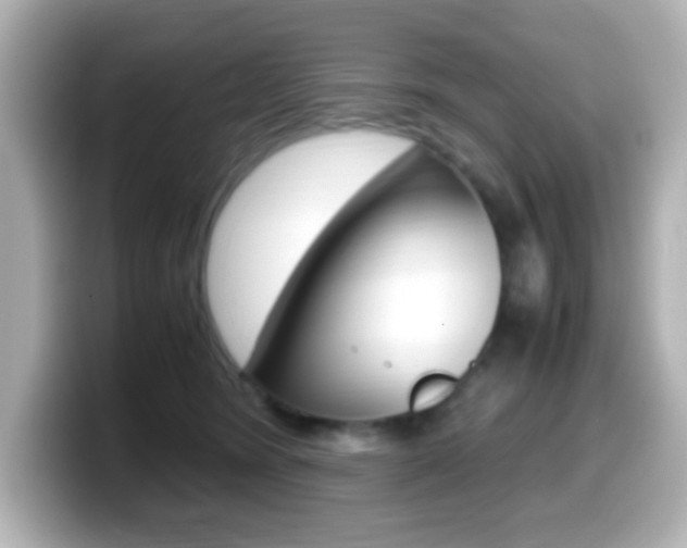 X0000099400420200805081245