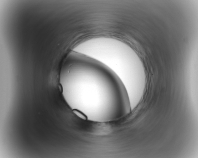 X0000099400421200805081245