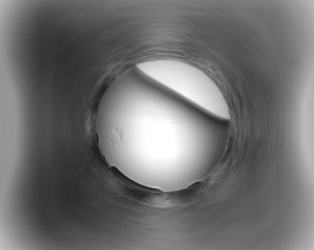 X0000099400423200805081245