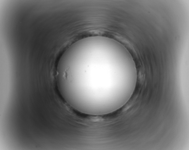 X0000099400424200805081245