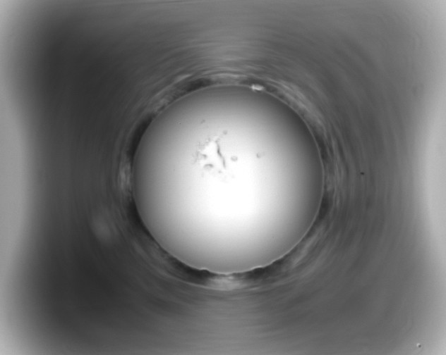 X0000099400425200805081245