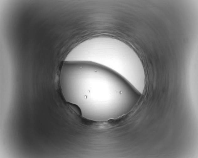 X0000099400427200805081245