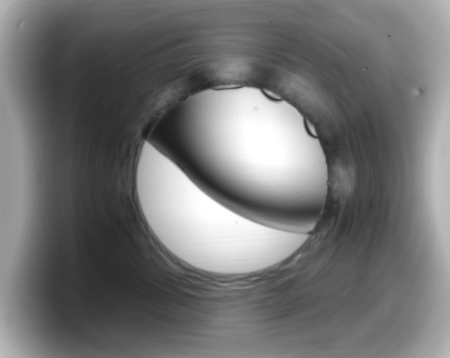 X0000099400428200805081245
