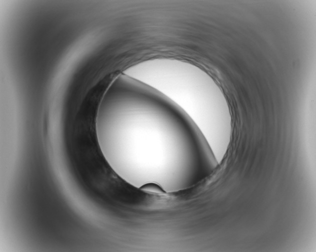X0000099400429200805081245