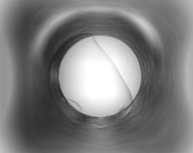 X0000099400431200805081245