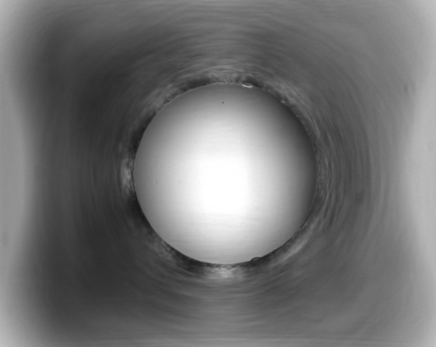 X0000099400432200805081245