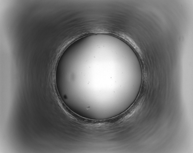 X0000099400433200805081244