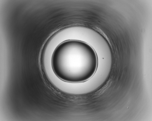 X0000099400435200805081244