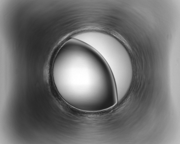 X0000099400436200805081244
