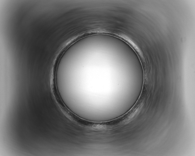X0000099400437200805081244
