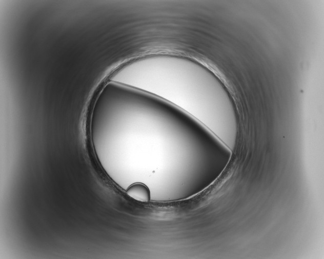X0000099400438200805081244