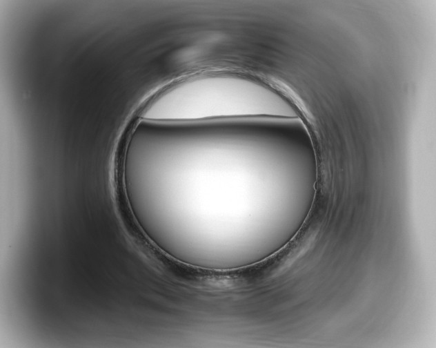X0000099400439200805081244