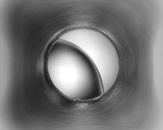X0000099400440200805081244