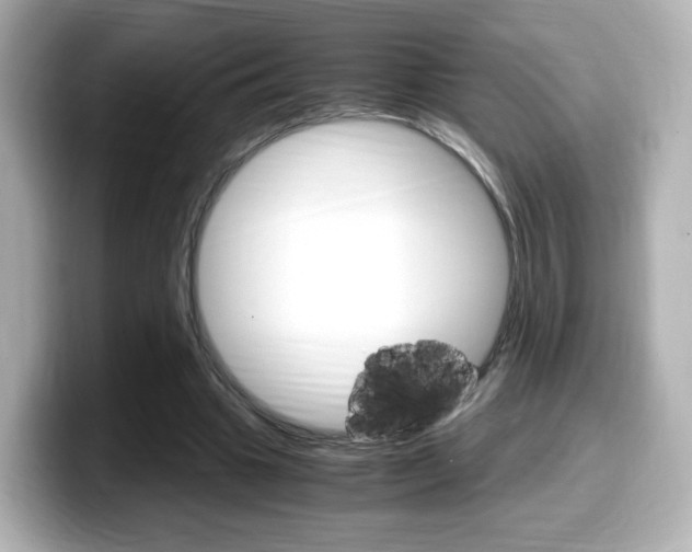 X0000099400441200805081244