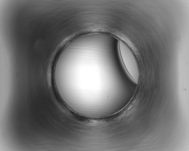 X0000099400442200805081244