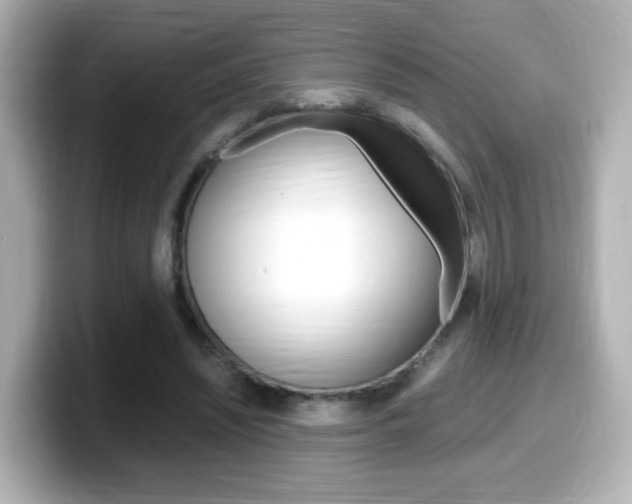 X0000099400444200805081245